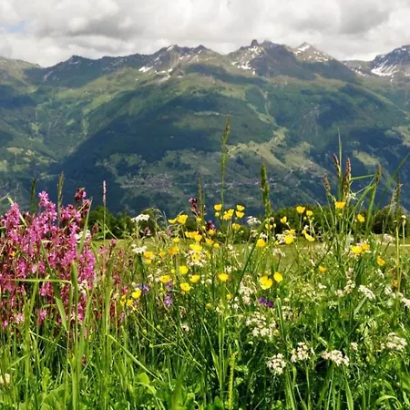 With Balcony In Veysonnaz *