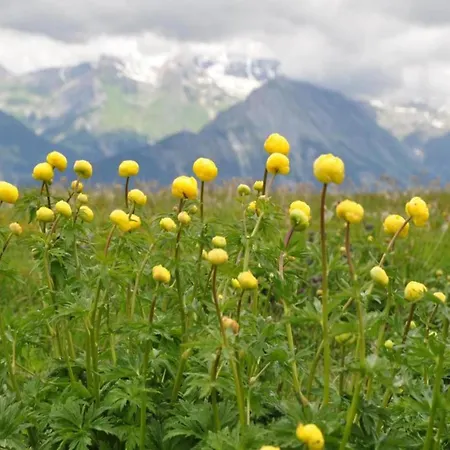 With Balcony In Veysonnaz Agettes
