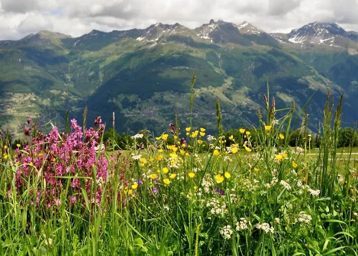 With Balcony In Veysonnaz *