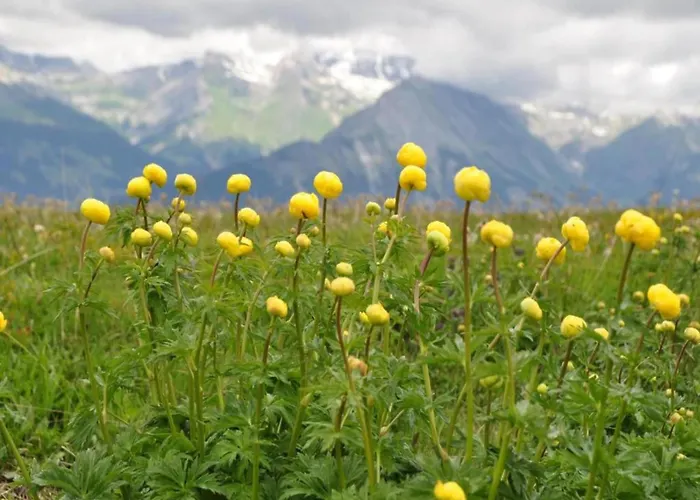 With Balcony In Veysonnaz Agettes