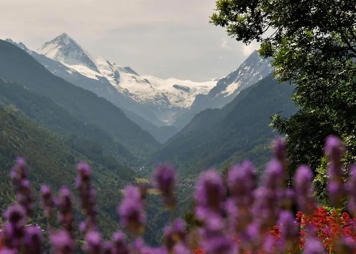 With Balcony In Veysonnaz Appartamento *
